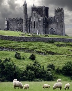 Cashel