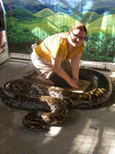 Filipini-piton Prony Filipini-piton Prony