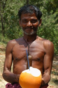 Kraljevi kokos Kraljevi kokos