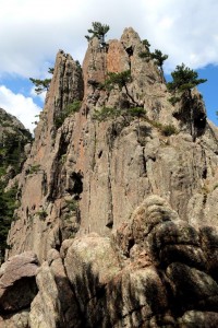 Pot v raj gre skozi pekel