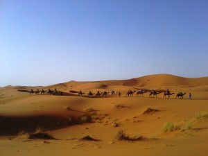 Maroška nagajivščina