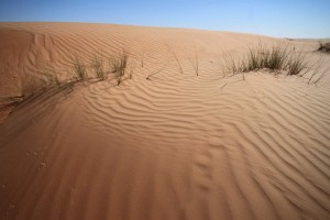 Oman - magična puščava Wahiba