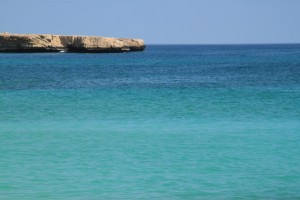 Turkizno arabsko morje