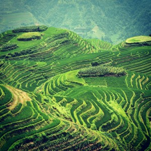 Kitajska - Longji - terasasta riževa polja