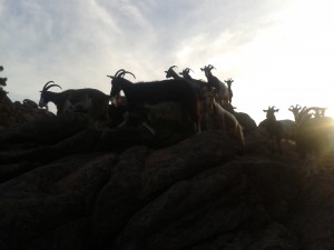 iz pohoda na Capu d'Orto 