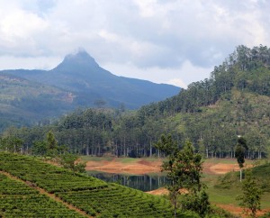 Šrilanka-Adamo vrh-vreden spoštovanja
