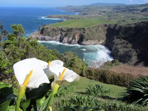Azores-São Miguel-Miradouro St. Iria