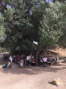 Iz arheološkega najdišča Filitosa