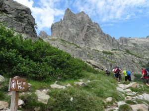 Proti Lac de Melo