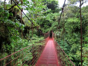 Kostarika -Monteverde - NARAVA