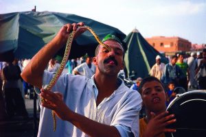 Maroko-Marakesh-krotilec kač