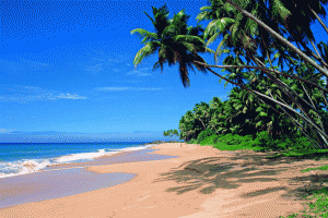 Indija - Goa