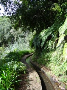 Levada