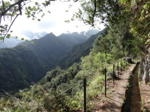 Levada