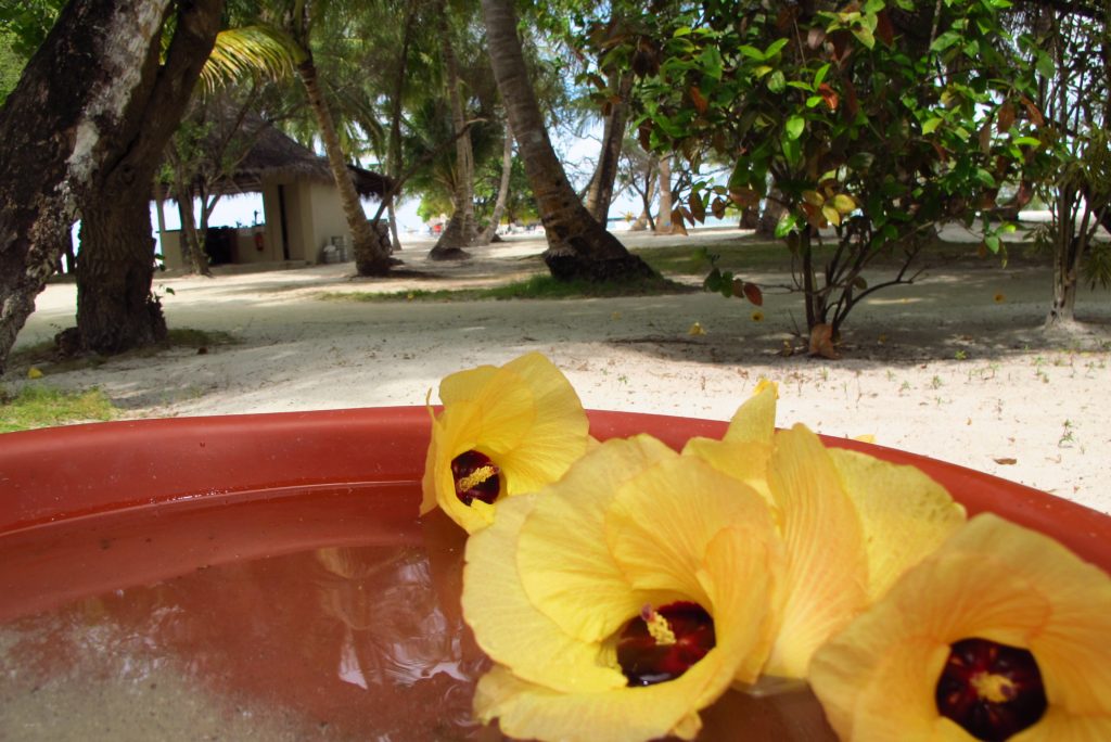 Maldivi-pogled s terase