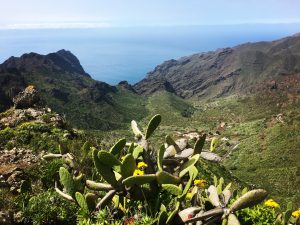 Tenerife - pot do Masce