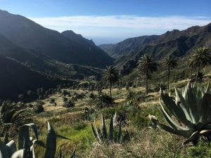 Atraktivni Tenerife in Gomera