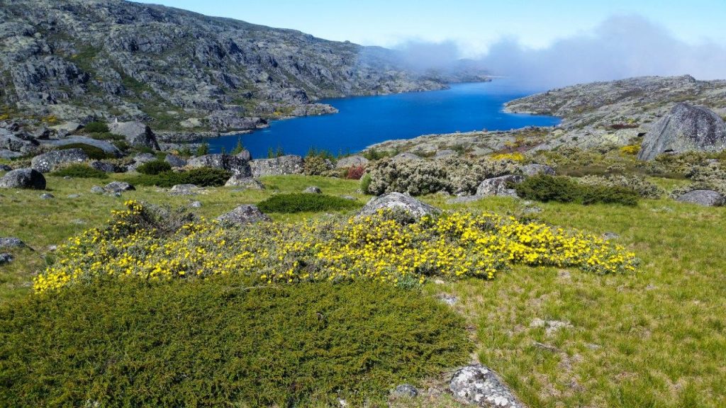 Portugalska-Sierra Estrella
