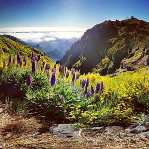 Madeira