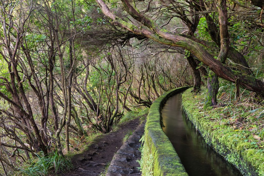 Madeira- levada Rabasal