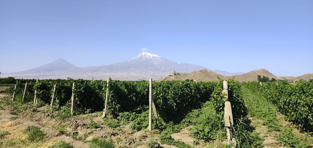 Cene hrane v Gruziji in Armeniji